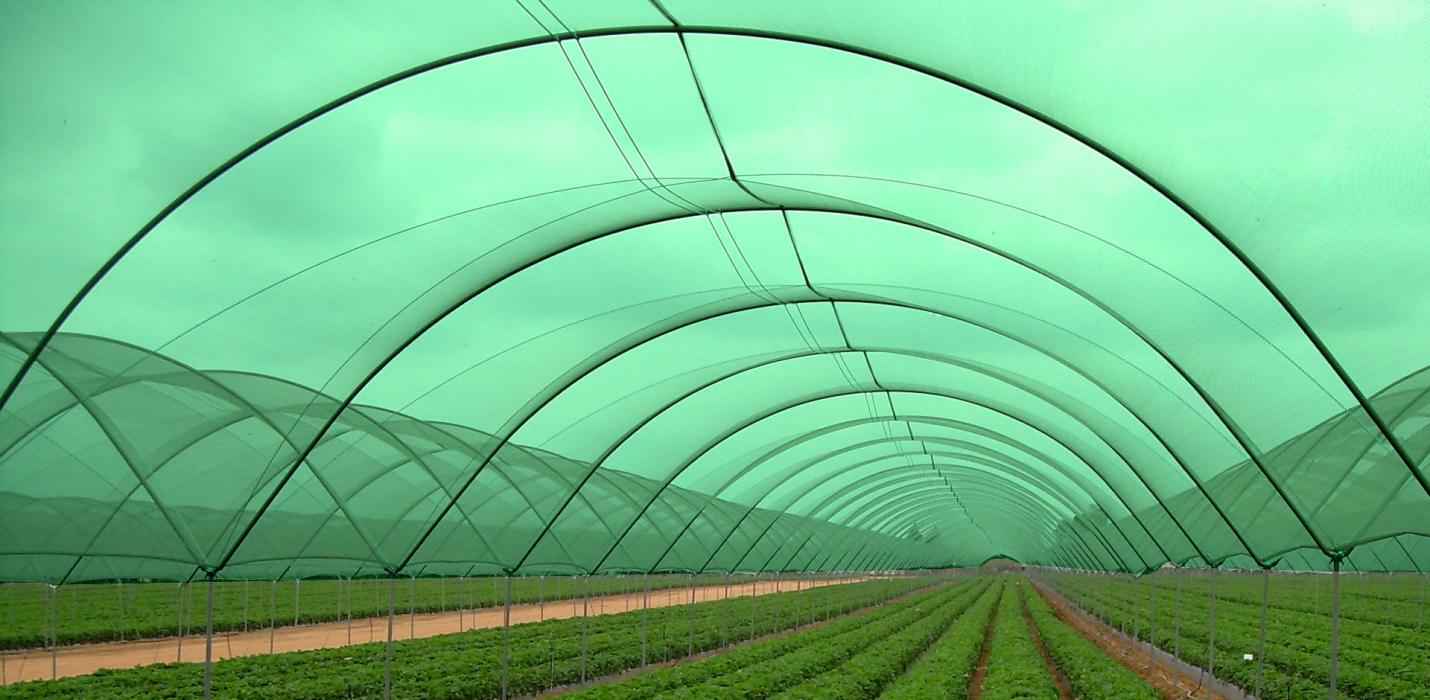 Floriculture Shade Net Manufacturers