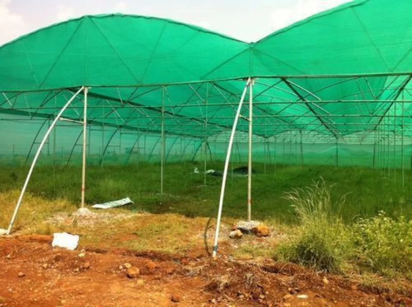 Floriculture Shade Net2