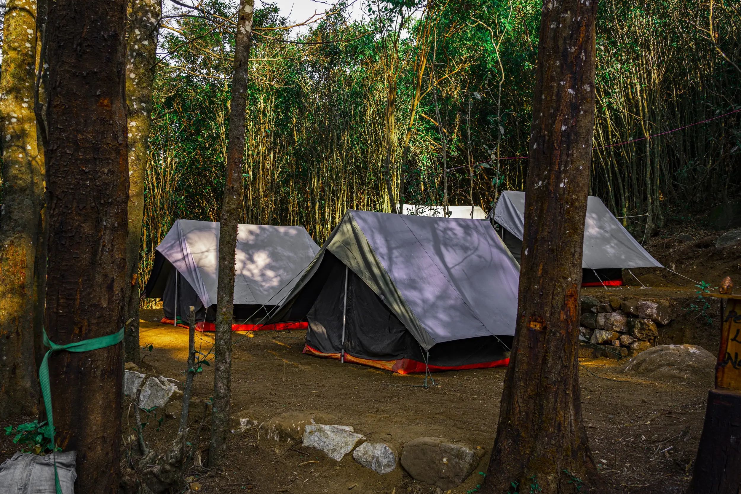 Forest Stay Tent Manufacturers