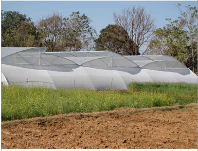 Green House & Shade House1
