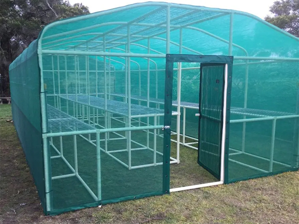 Green House & Shade House3