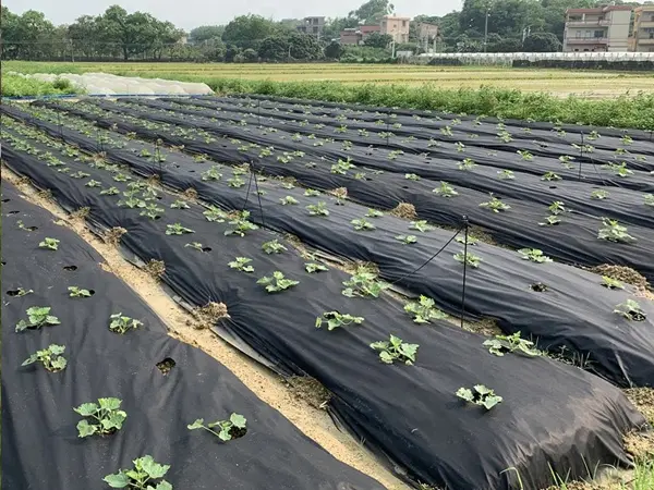 Composts Tarpaulin Manufacturers